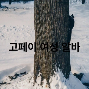 고페이여성알바.webp