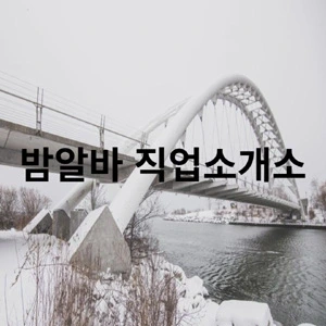 밤알바직업소개소.webp