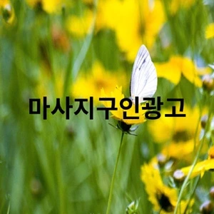 마사지구인광고.webp