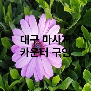 대구 마사지 카운터 구인 (1).webp