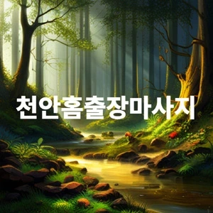 천안홈출장마사지.webp