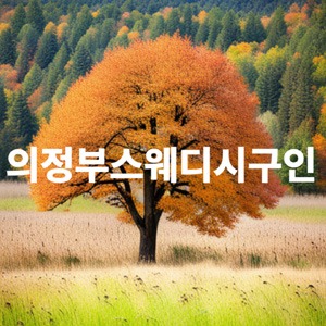 의정부스웨디시구인.jpg