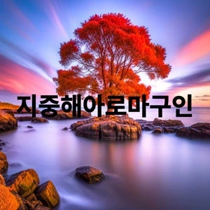 지중해아로마구인.webp