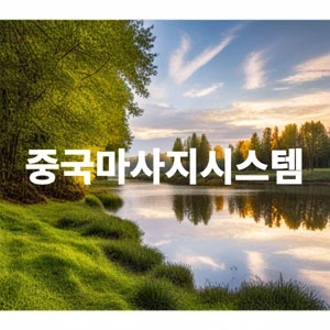 중국마사지시스템.webp