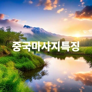 중국마사지특징.webp