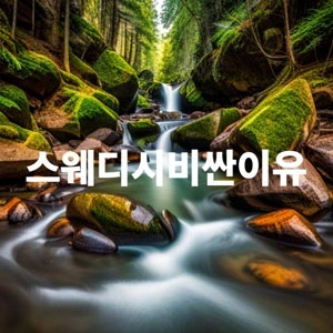 스웨디시비싼이유.webp