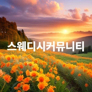 스웨디시커뮤니티.webp