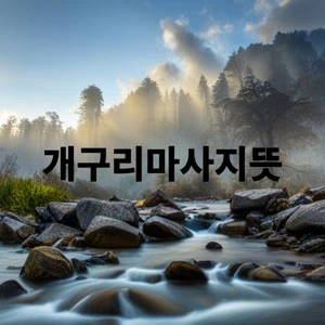 개구리마사지뜻.webp