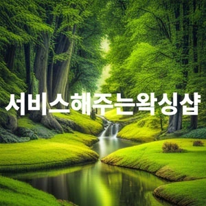 서비스해주는왁싱샵.webp