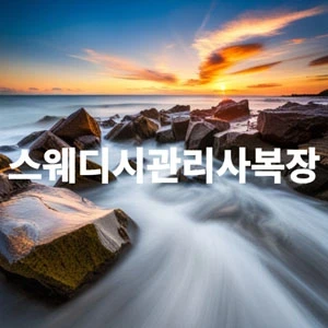 스웨디시관리사복장.webp