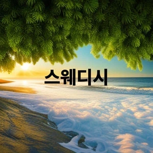 스웨디시.webp