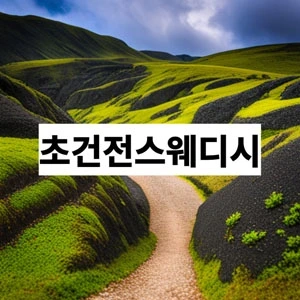 초건전스웨디시.webp