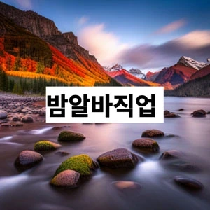 밤알바직업 .webp