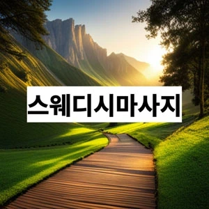 스웨디시마사지.webp