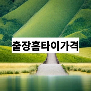 출장홈타이가격.webp