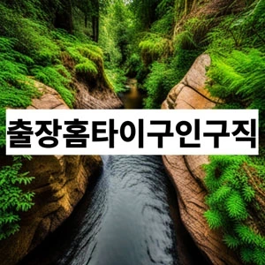 출장홈타이구인구직.webp