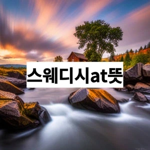 스웨디시at뜻.webp