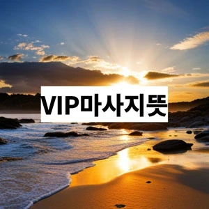 VIP마사지뜻.webp