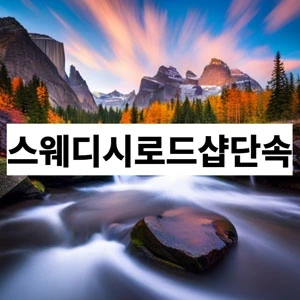 스웨디시로드샵단속.webp