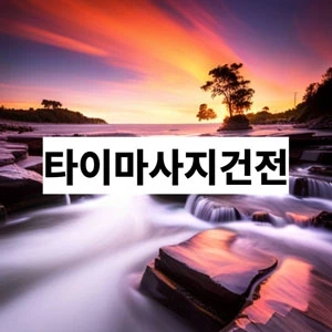 타이마사지건전.webp