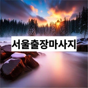 서울출장마사지.webp