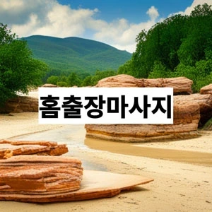 홈출장마사지.webp