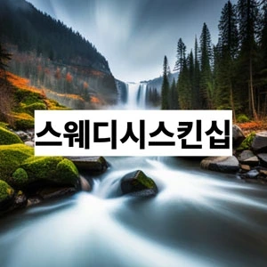 스웨디시스킨십.webp