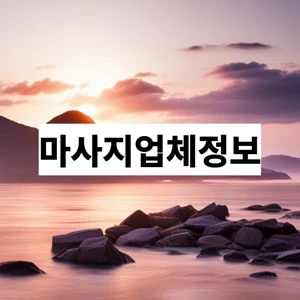 마사지업체정보.webp