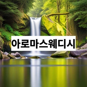 아로마스웨디시.webp