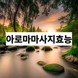 아로마마사지효능.webp