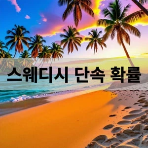 스웨디시 단속 확률.webp