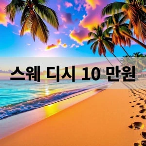 스웨 디시 10 만원.webp