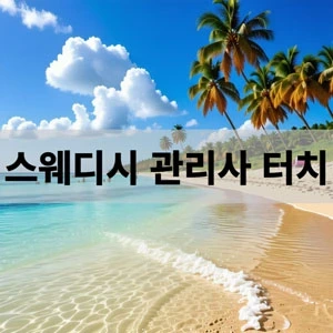 스웨디시 관리사 터치.webp