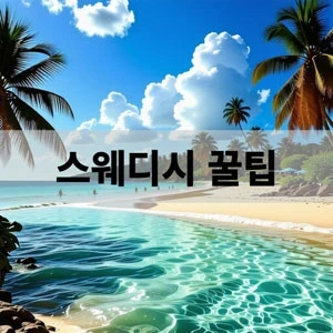 스웨디시 꿀팁.webp