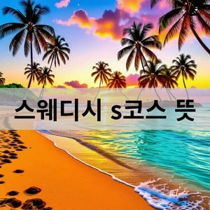 스웨디시 s코스 뜻.webp